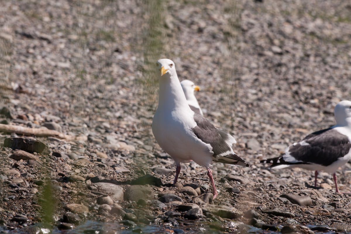 Plombier d'urgence le week-end : que faire ?